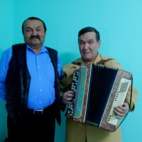 играй гармонь